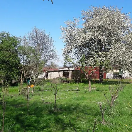 Bed & Breakfast Et D'hotes, L'erable *