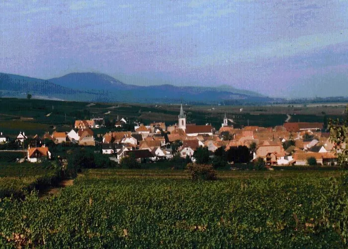 Et D'hotes, L'erable Beblenheim